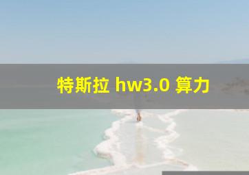 特斯拉 hw3.0 算力